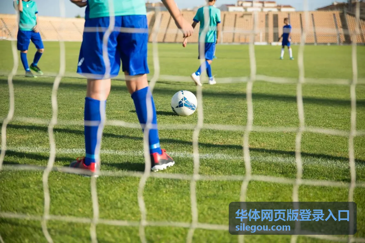 华体网页版登录入口异常提示排查示意